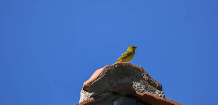 CASA EN CARPINTERIA