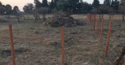 LOTE DE 500mts EN CORTADERAS