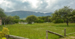 LOTE DE 1573M2 EN CORTADERAS