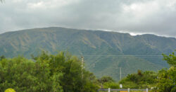 LOTE DE 1573M2 EN CORTADERAS