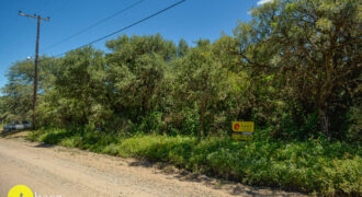 LOTES CENTRICOS EN CARPINTERIA