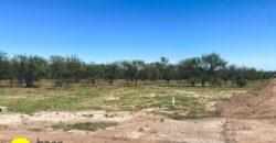 LOTEO «LOMAS DEL PARAISO» SOBRE RUTA Nº1