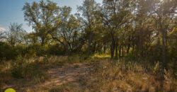 LOTE EN «COLONIA ARGENTINA»