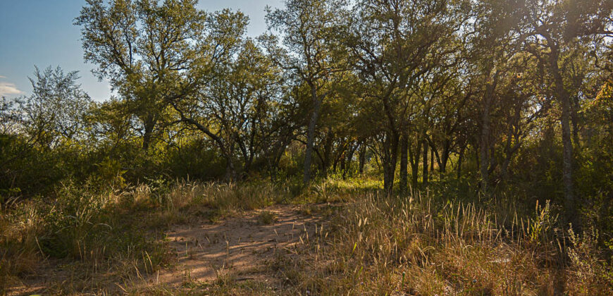 LOTE EN «COLONIA ARGENTINA»