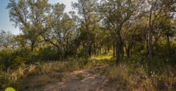 LOTE EN «COLONIA ARGENTINA»