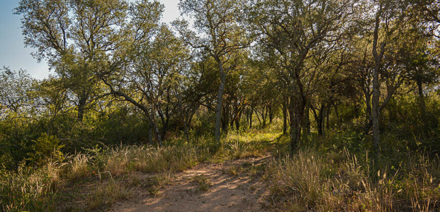 LOTE EN «COLONIA ARGENTINA»