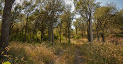 LOTE EN «COLONIA ARGENTINA»