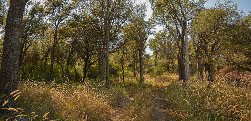 LOTE EN «COLONIA ARGENTINA»