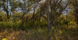 LOTE EN «COLONIA ARGENTINA»