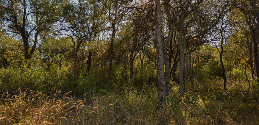 LOTE EN «COLONIA ARGENTINA»