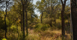 LOTE EN «COLONIA ARGENTINA»