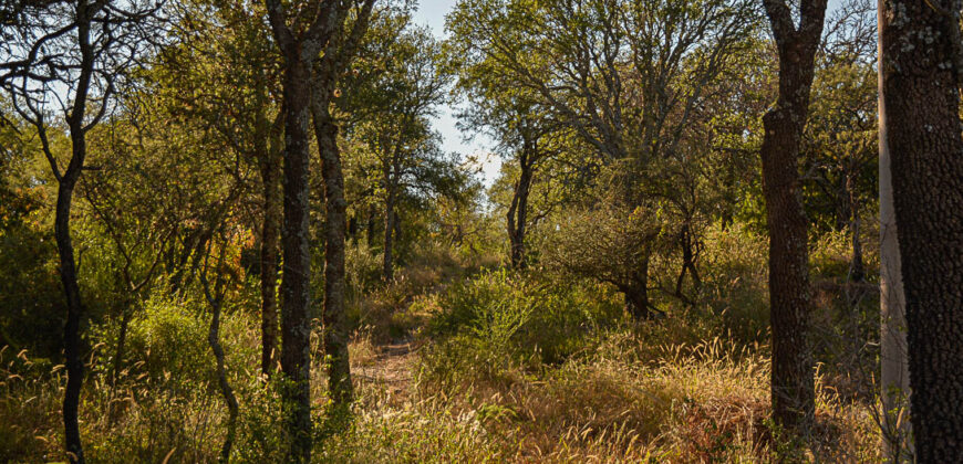 LOTE EN «COLONIA ARGENTINA»