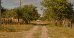 LOTE EN «COLONIA ARGENTINA»