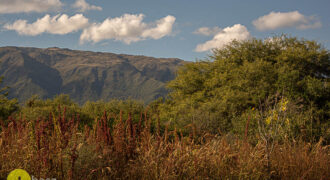 LOTE CENTRICO EN CARPINTERIA