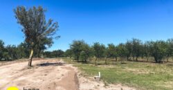 LOTEO «LOMAS DEL PARAISO» SOBRE RUTA Nº1
