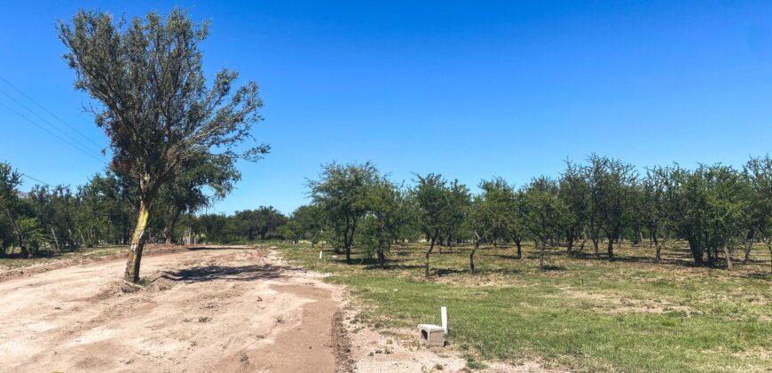 LOTEO «LOMAS DEL PARAISO» SOBRE RUTA Nº1