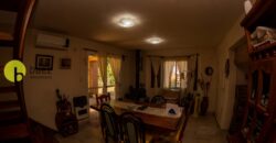 CASA AMOBLADA CENTRICA EN CARPINTERIA