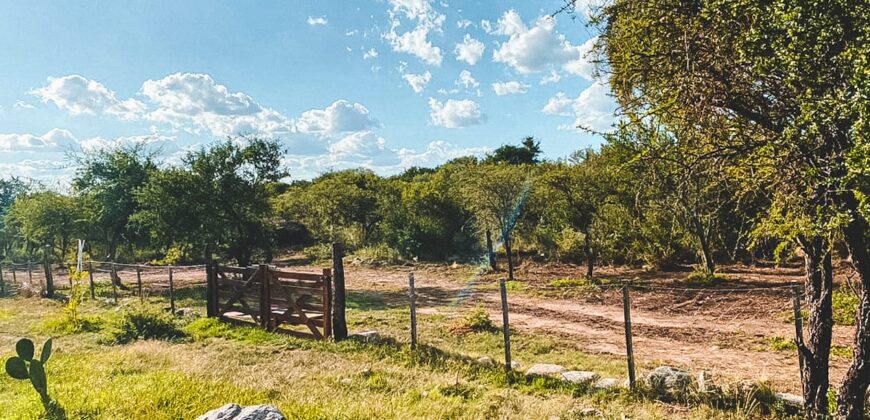 CASA EN AMPLIO LOTE EN LOS MOLLES