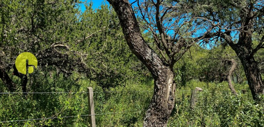 LOTE CON SALIDA A DOS CALLES