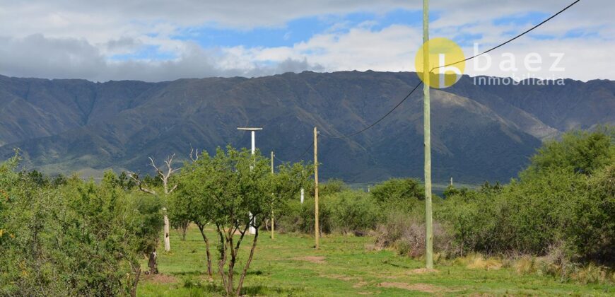 LOTE DE 1.000MTS EN RAICES NATIVAS