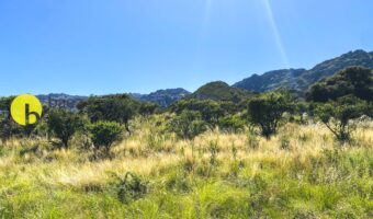 DOS LOTES DE 800MTS EN AGUAS BLANCAS