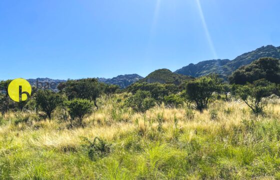 DOS LOTES DE 800MTS EN AGUAS BLANCAS