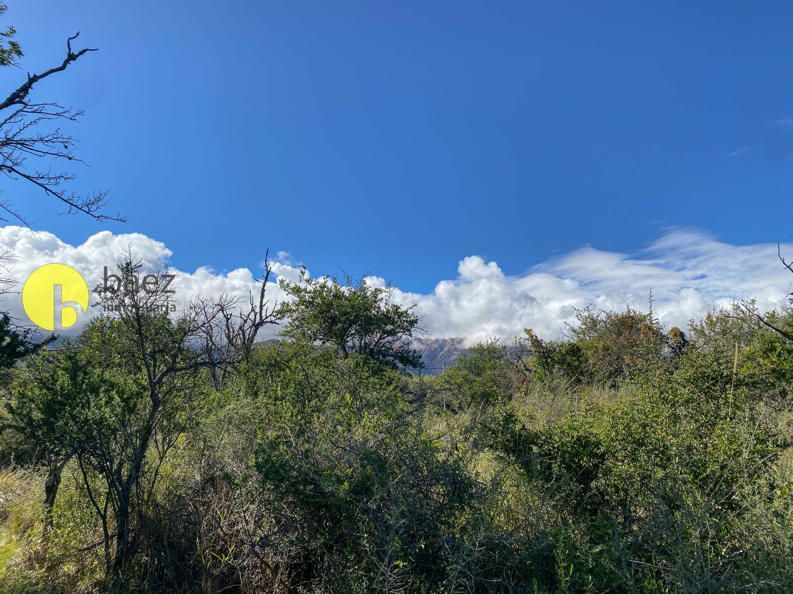 LOTE EN CORTADERAS