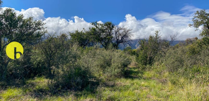 LOTE EN CORTADERAS