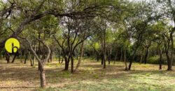 LOTE DE 920MTS POLO LOGISTICO MERLO 