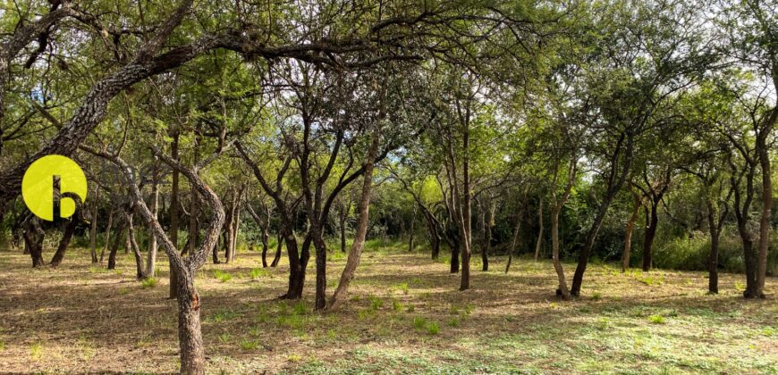 LOTE DE 920MTS POLO LOGISTICO MERLO 