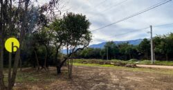 LOTE DE 920MTS POLO LOGISTICO MERLO 
