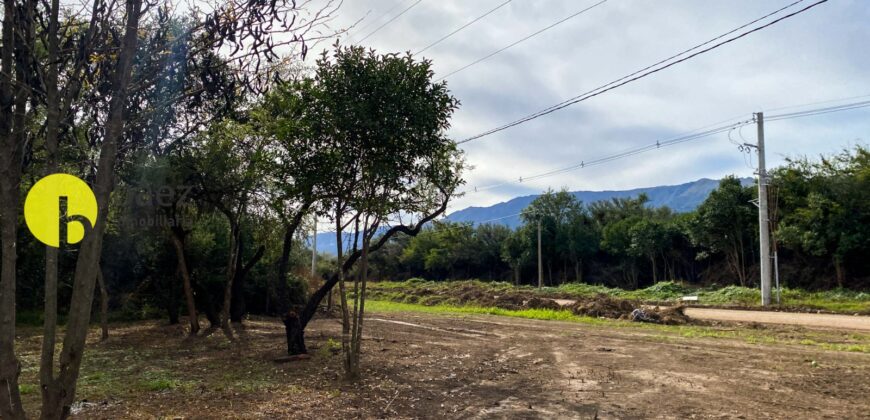 LOTE DE 920MTS POLO LOGISTICO MERLO 