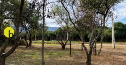 LOTE DE 920MTS POLO LOGISTICO MERLO 