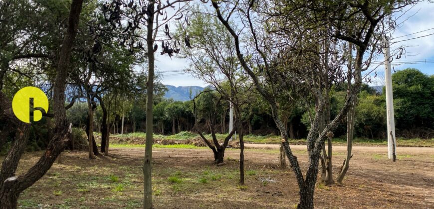 LOTE DE 920MTS POLO LOGISTICO MERLO 