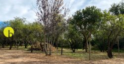 LOTE DE 920MTS POLO LOGISTICO MERLO 
