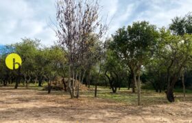 LOTE DE 920MTS POLO LOGISTICO MERLO 
