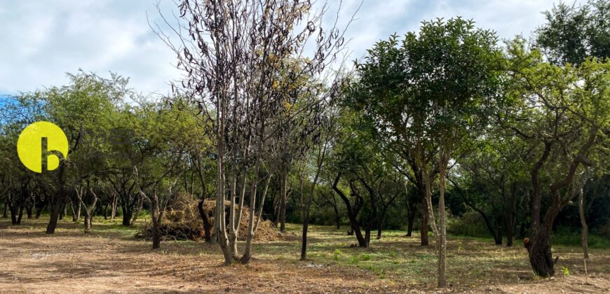 LOTE DE 920MTS POLO LOGISTICO MERLO 