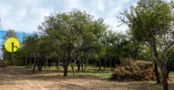 LOTE DE 920MTS POLO LOGISTICO MERLO 