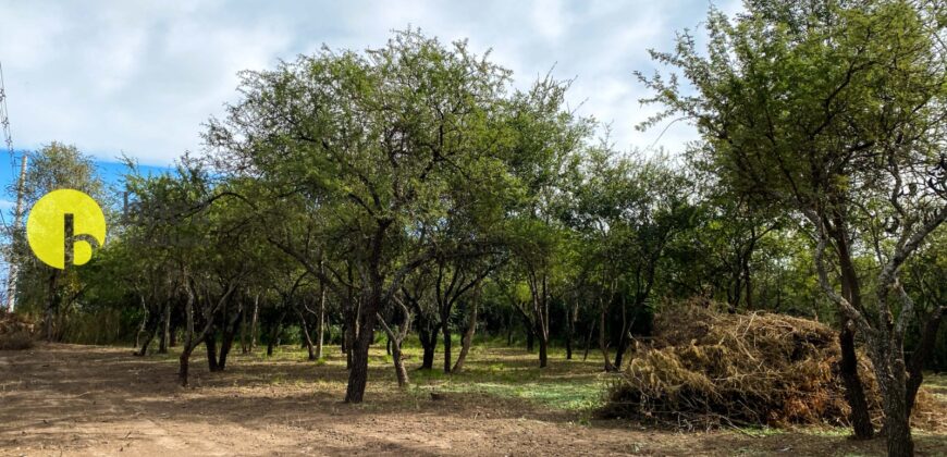 LOTE DE 920MTS POLO LOGISTICO MERLO 