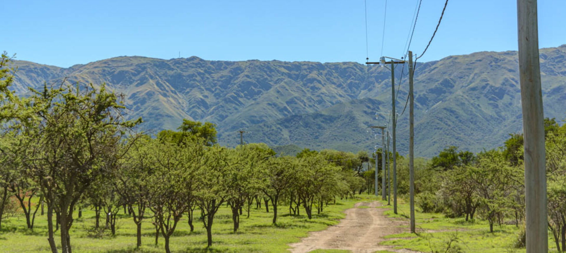 LOTE DE 1.003,7M EN «AZUCENA»