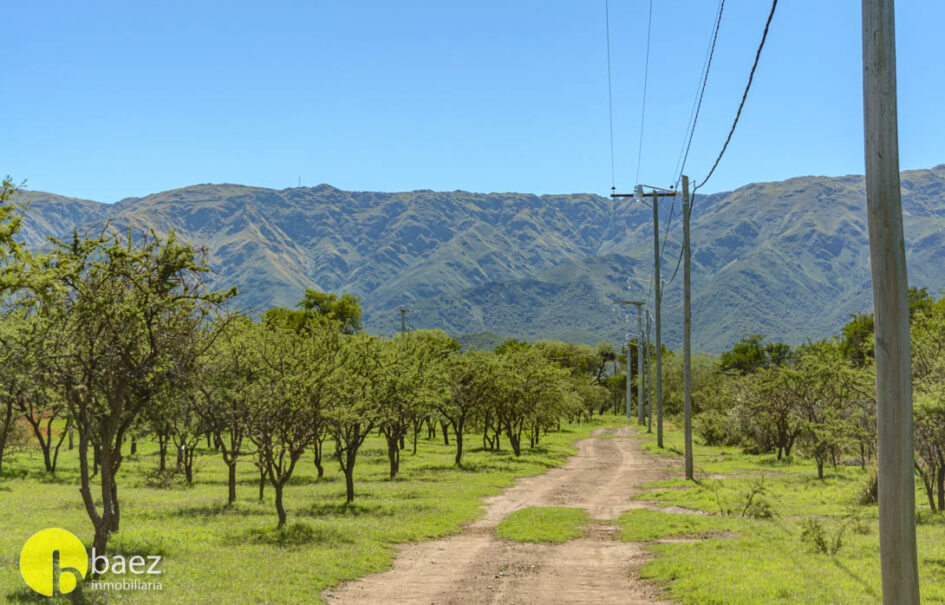 LOTE DE 1.003,7M EN «AZUCENA»