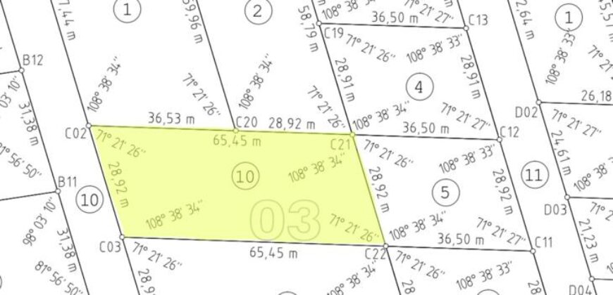 LOTE DE 1.793M «RICES NATIVAS»