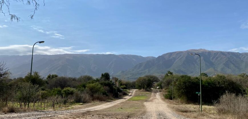 LOTE DE 1.255M «ESTACIÓN VILLA ELENA»