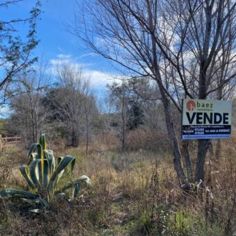 2 LOTES DE 500M CENTRICOS