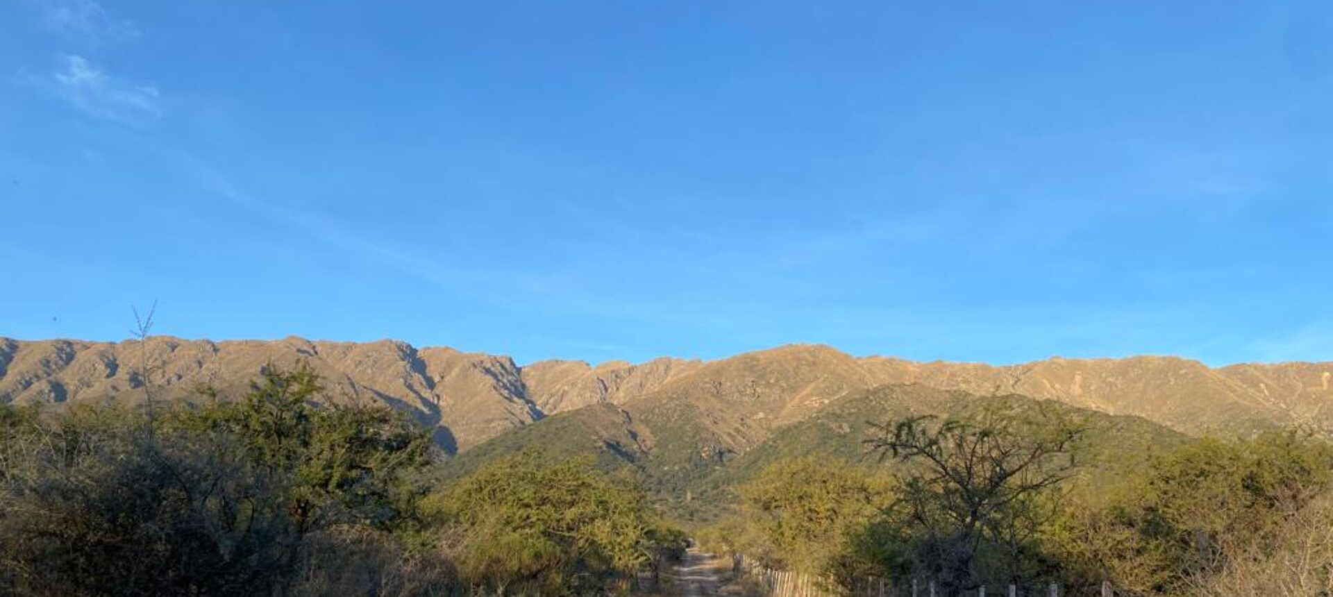 2 HAS EN ZONA ALTA DE CARPINTERIA