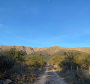 2 HAS EN ZONA ALTA DE CARPINTERIA