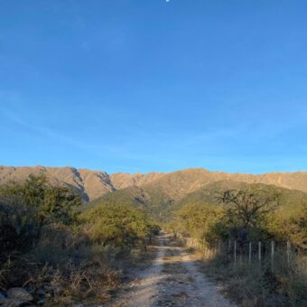 2 HAS EN ZONA ALTA DE CARPINTERIA