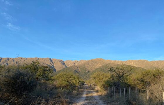 2 HAS EN ZONA ALTA DE CARPINTERIA