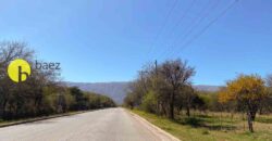 1 HECTÁREA SOBRE RUTA Nº28