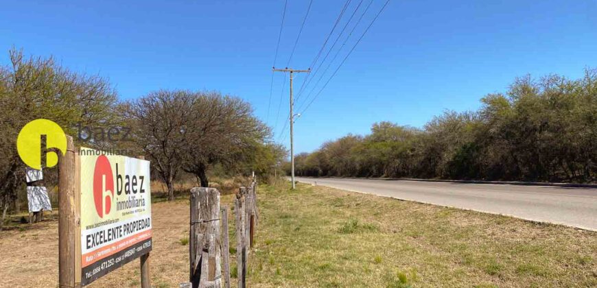 1 HECTÁREA SOBRE RUTA Nº28